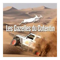 Gazelle du Cotentin